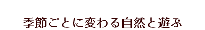 季節ごとに変わる自然と遊び